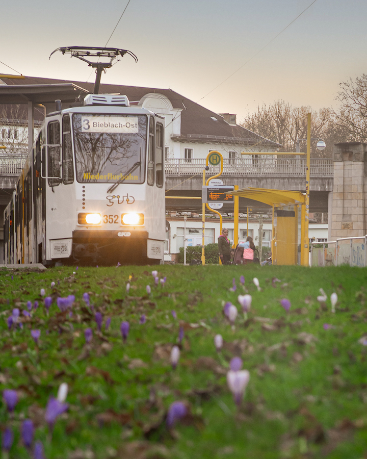 Straßenbahn in Gera am Park der Jugend