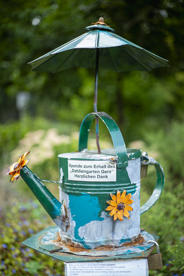 Spendenbox als Gießkanne im Dahliengarten Gera
