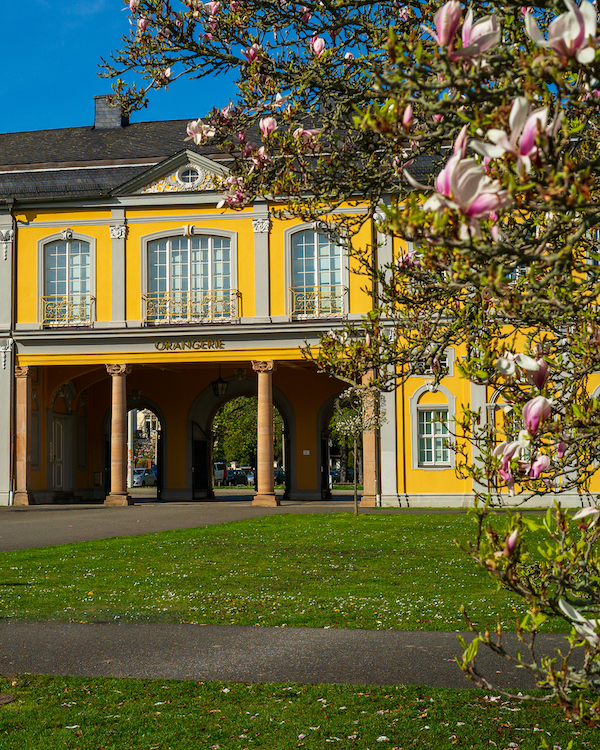 Orangerie mit Magnolienbaum 1