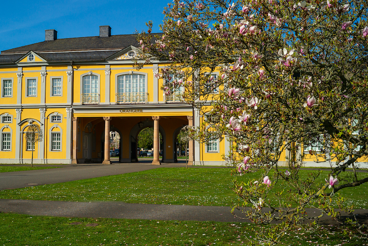 Orangerie mit Magnolienbaum 2