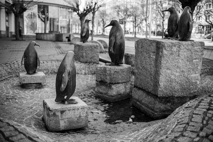 Pinguinbrunnen in Gera